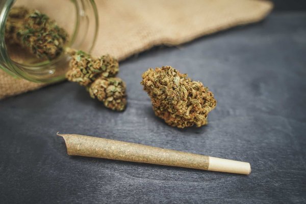Histoire du hash naturel : quelle est l'origine du produit ?